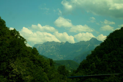 photo 1223050