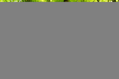 photo 1224219