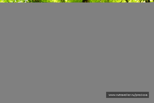 photo 1224219