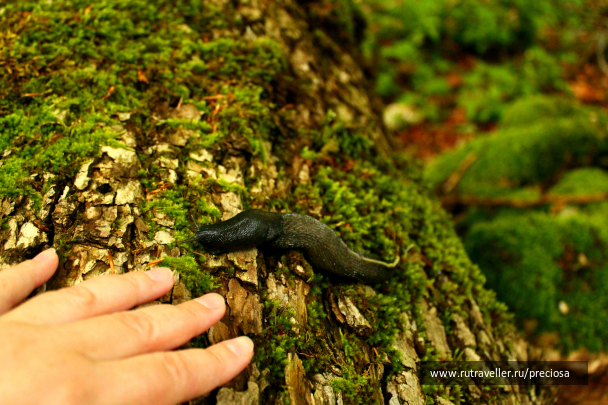 photo 1224404