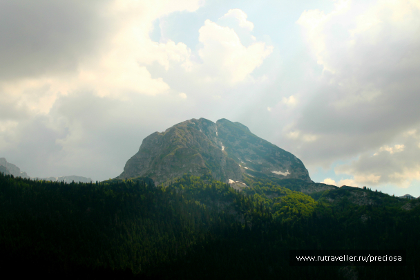 photo 1262384