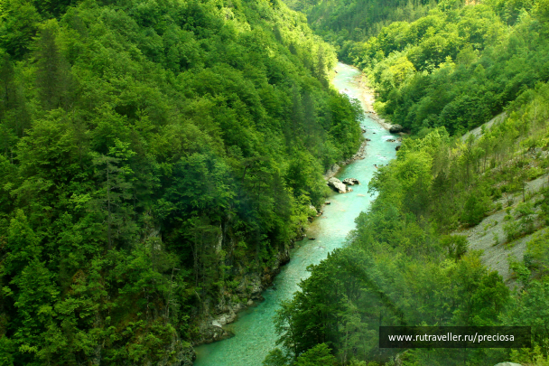photo 1267627