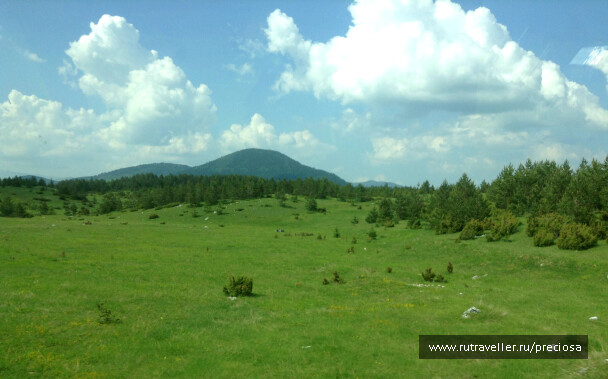 photo 1268237