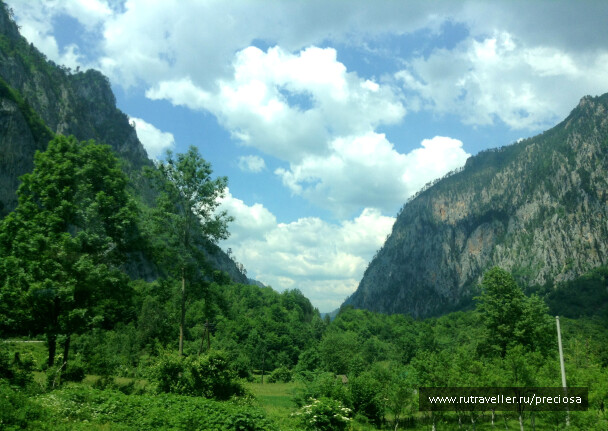 photo 1268339