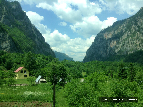 photo 1268340