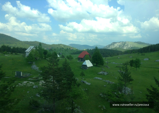 photo 1270739