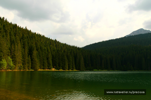 photo 1271010
