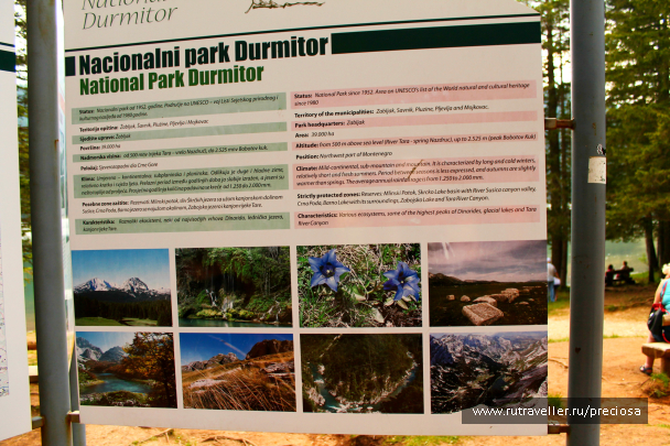 photo 1281564