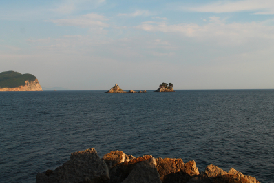 photo 1102559
