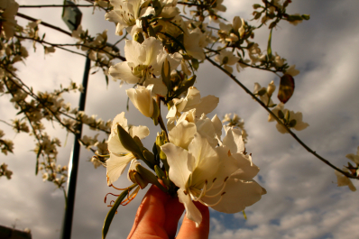 photo 1303091