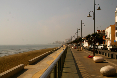 photo 1288237