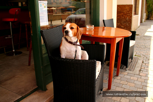 photo 1417547