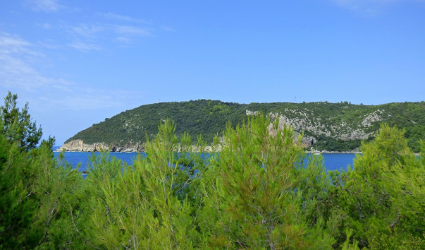 P1080029.