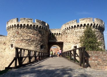 photo 1545392