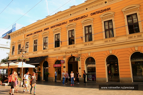 photo 1616895