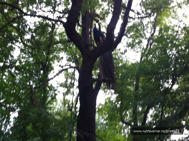 photo 714943