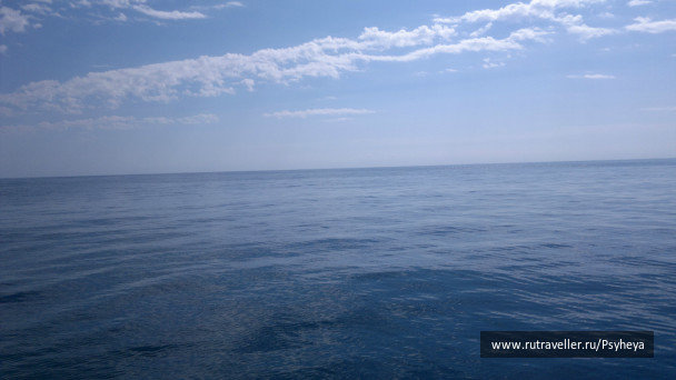 photo 552654