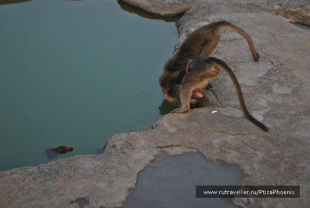 photo 547375