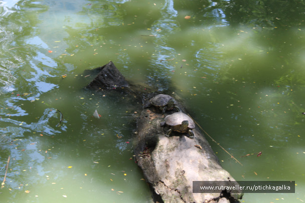 photo 1089169