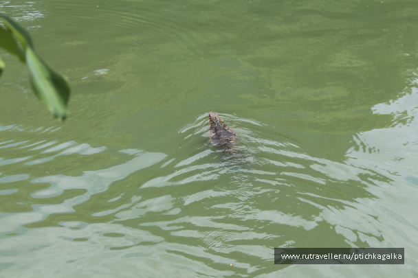 photo 1089209