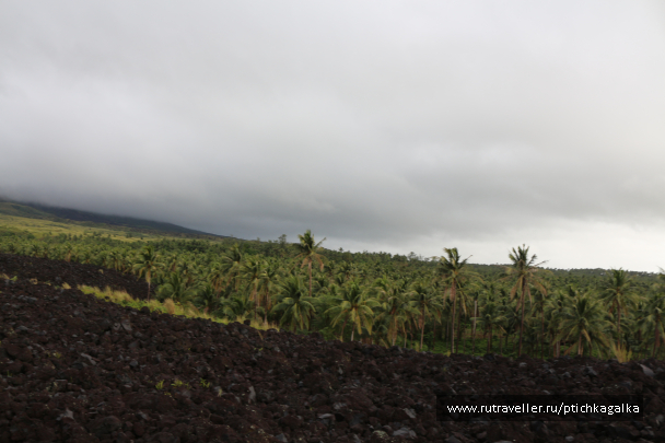 photo 1202020