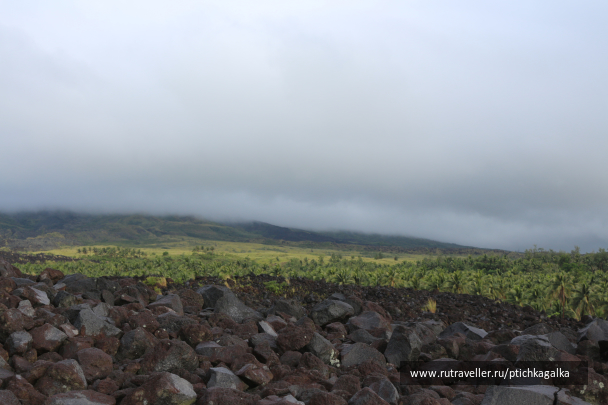 photo 1202021