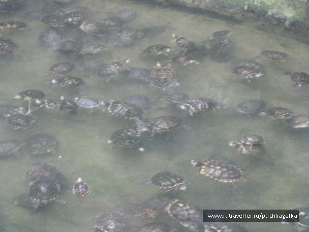 photo 1403963