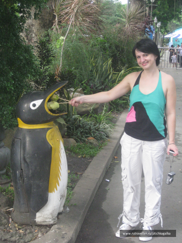 photo 1403969