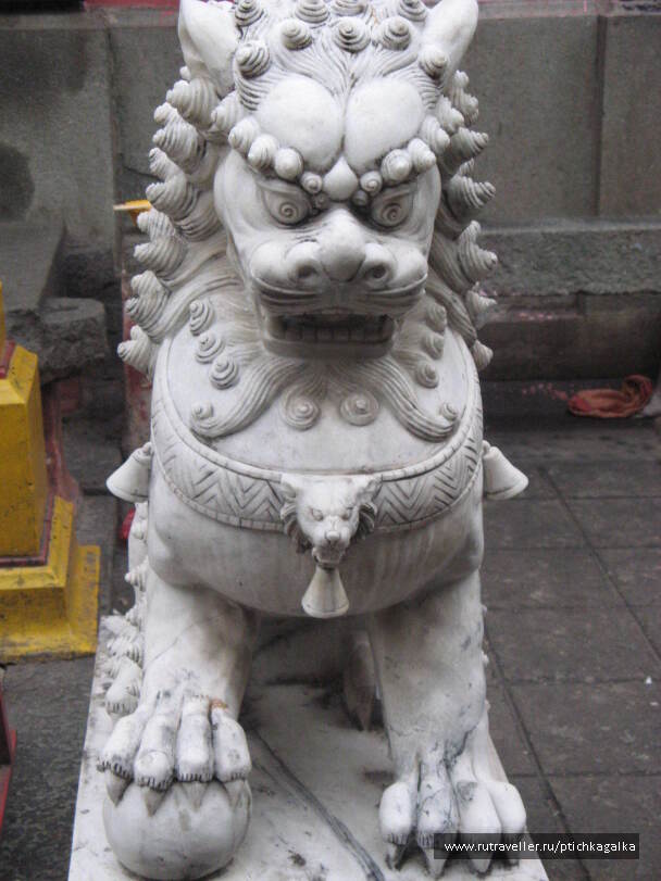 photo 1403983