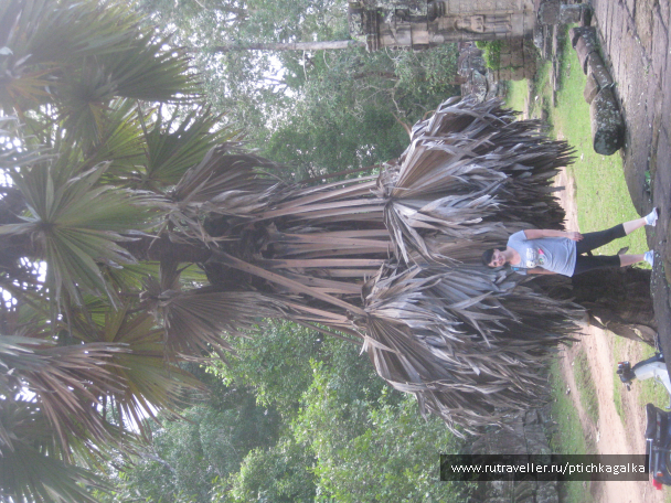 photo 1403925