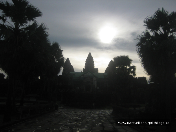 photo 1403942