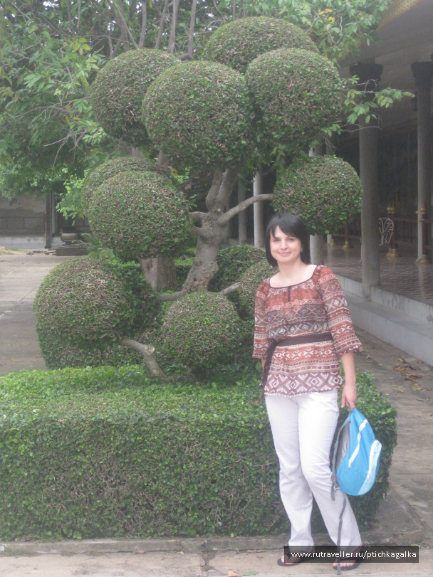 photo 1403957