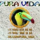 PURA_VIDA