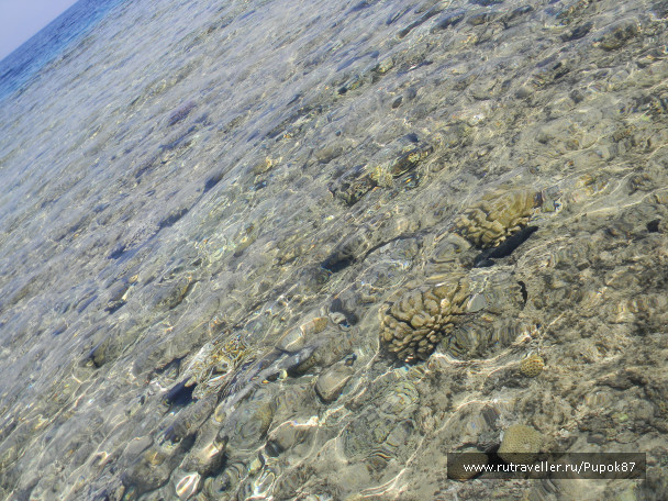 photo 74817