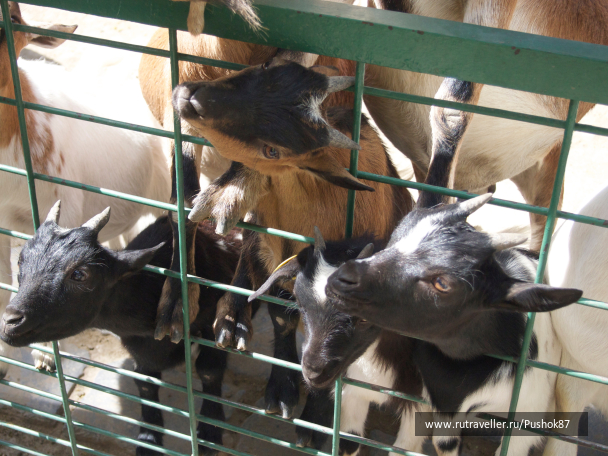 photo 1457619