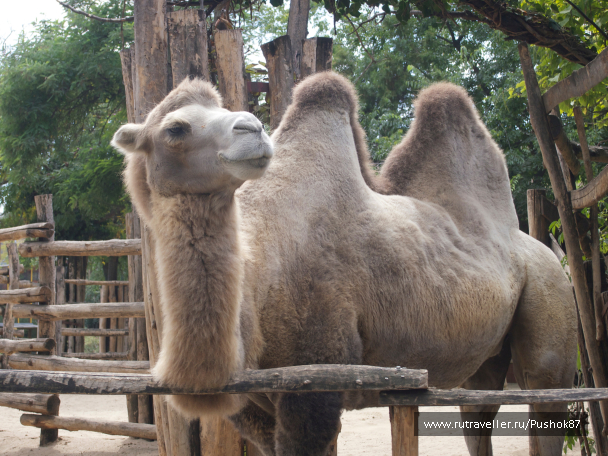 photo 1457620