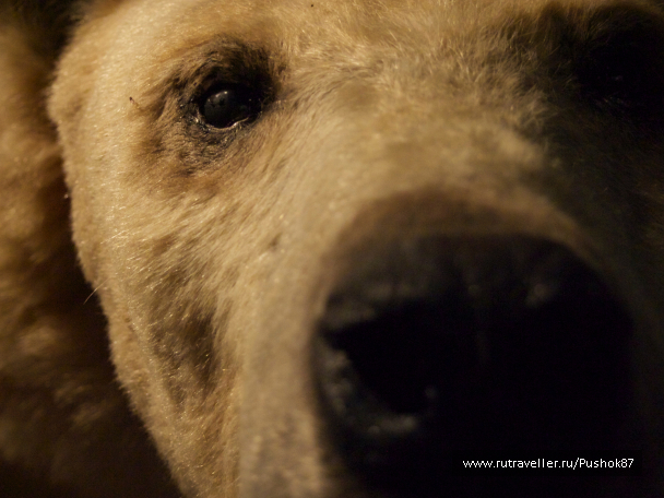 photo 1457622