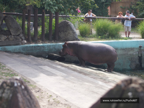 photo 1457624