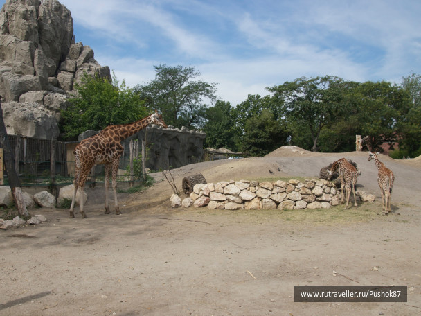 photo 1457625