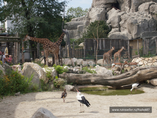 photo 1457626