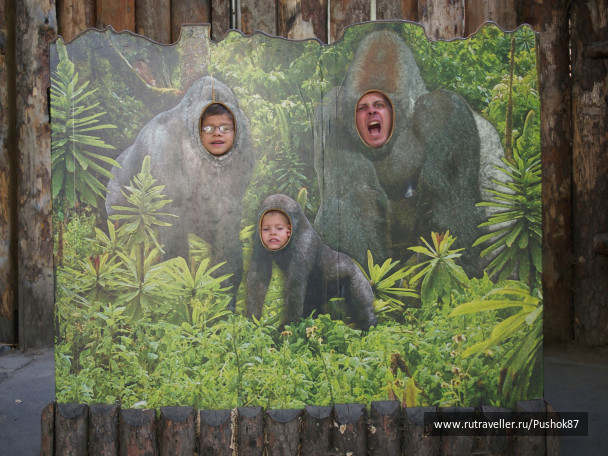 photo 1457629
