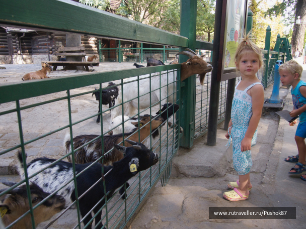 photo 1457630
