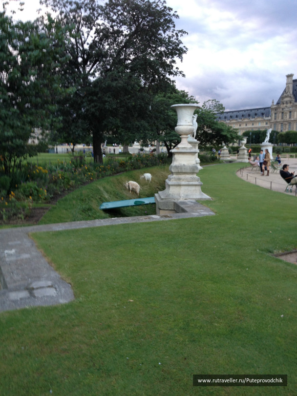 photo 128981
