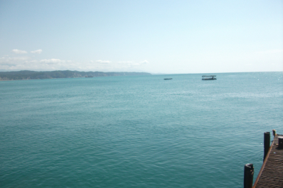 photo 1568408