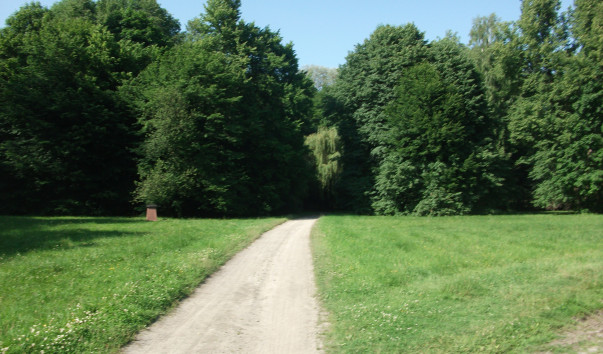 DSCF3319
