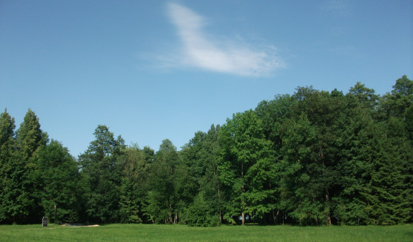 DSCF3318