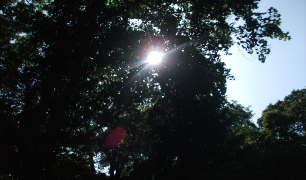 DSCF3312