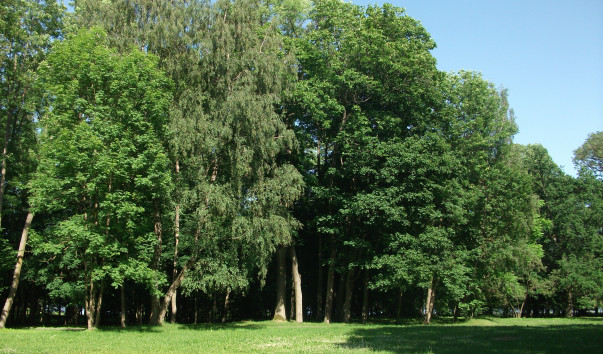 DSCF3308