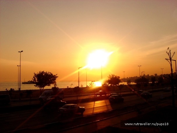 photo 677338