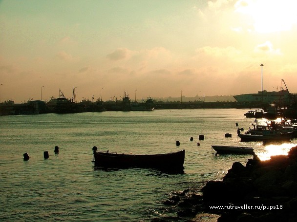 photo 677346